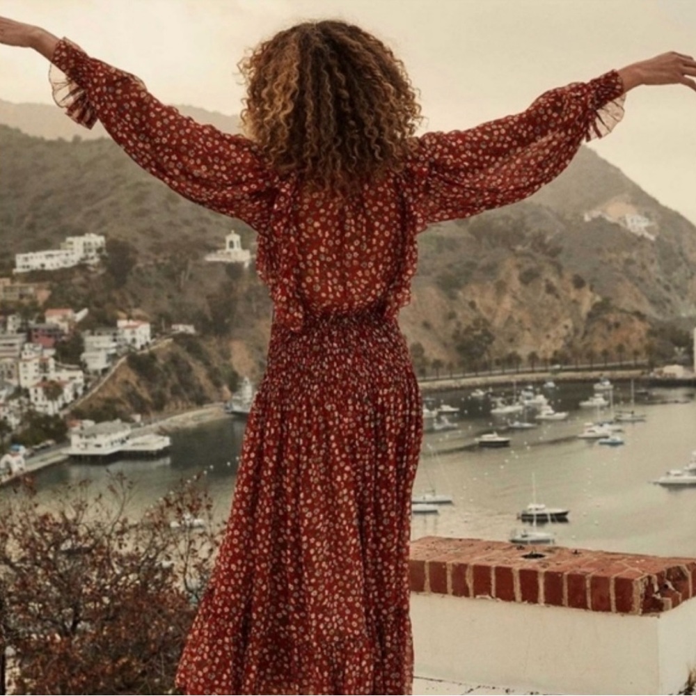 NWT DOEN MURIEL DRESS - XXS (roughly size 0-2) Red Print - Silk - Picture 3 of 12